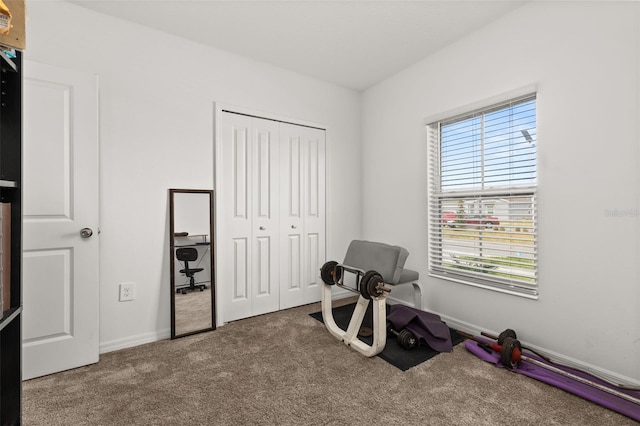 interior space featuring carpet floors