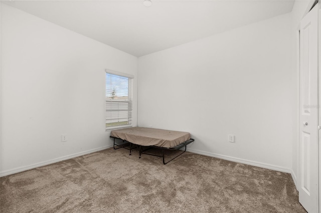 interior space with light colored carpet