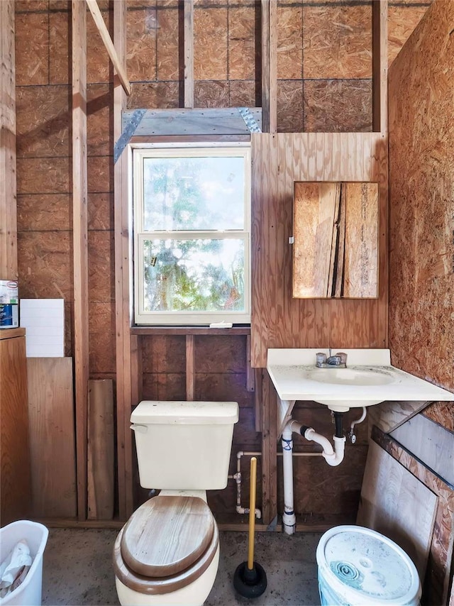 bathroom featuring sink and toilet