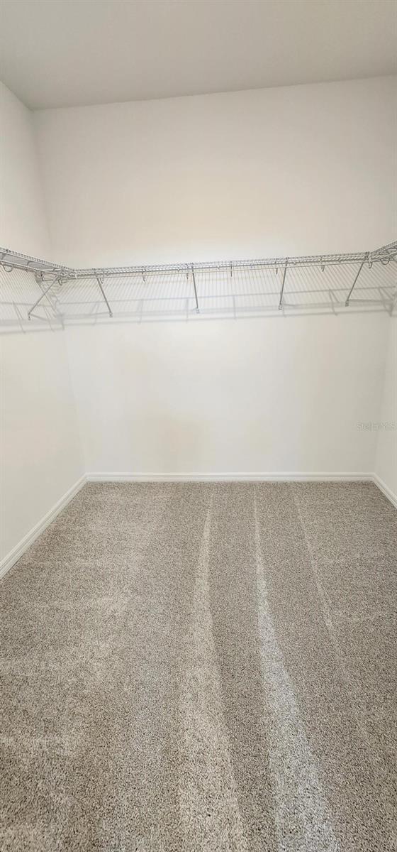 4110 Gooseberry Trl, Kissimmee, FL 34746 - walk in closet featuring carpet flooring