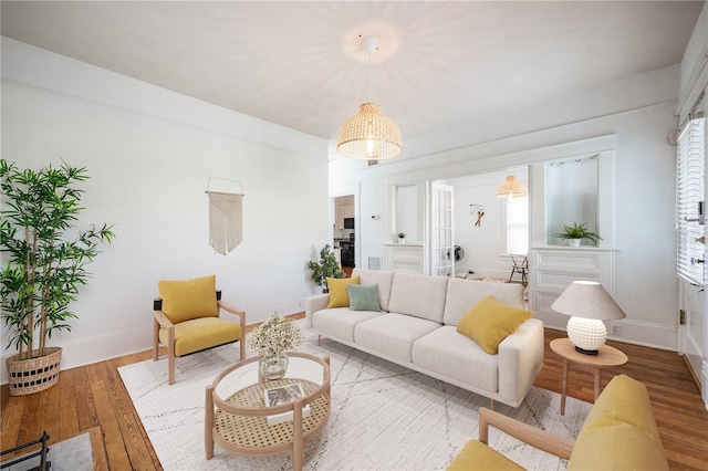 living room with wood-type flooring