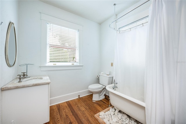 bathroom featuring vanity, hardwood / wood-style floors, and toilet