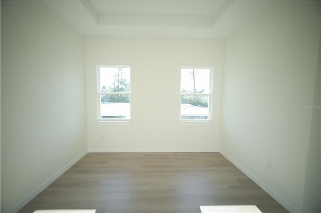 unfurnished room with a raised ceiling, a healthy amount of sunlight, and light wood-type flooring