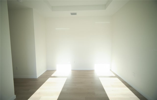 spare room featuring a raised ceiling, a towering ceiling, and light wood-type flooring