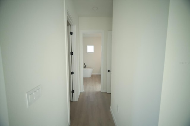 hallway featuring light hardwood / wood-style floors