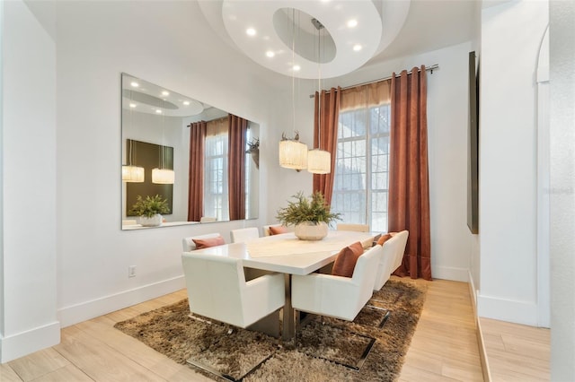 dining room with light hardwood / wood-style flooring