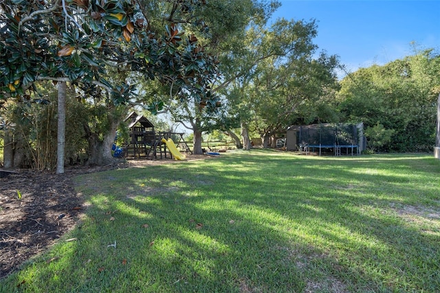 view of yard with a playground and a trampoline