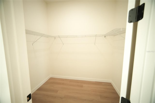 walk in closet featuring light hardwood / wood-style flooring