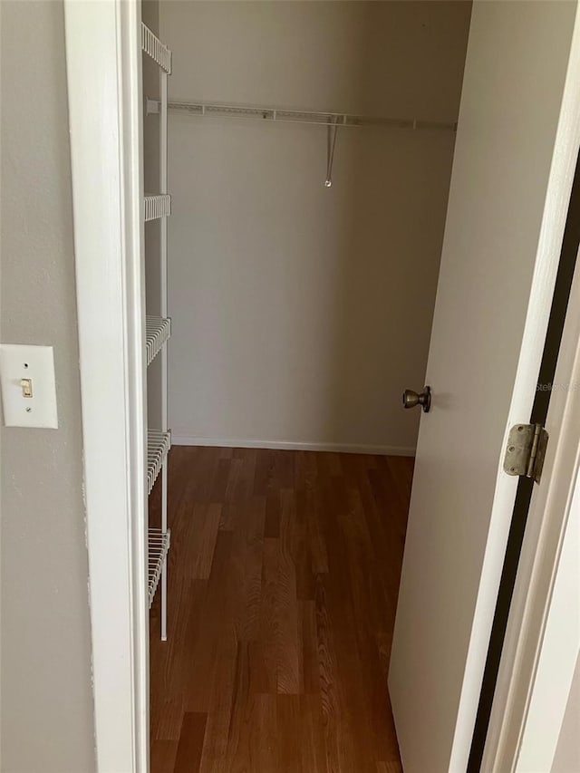 spacious closet featuring dark hardwood / wood-style floors