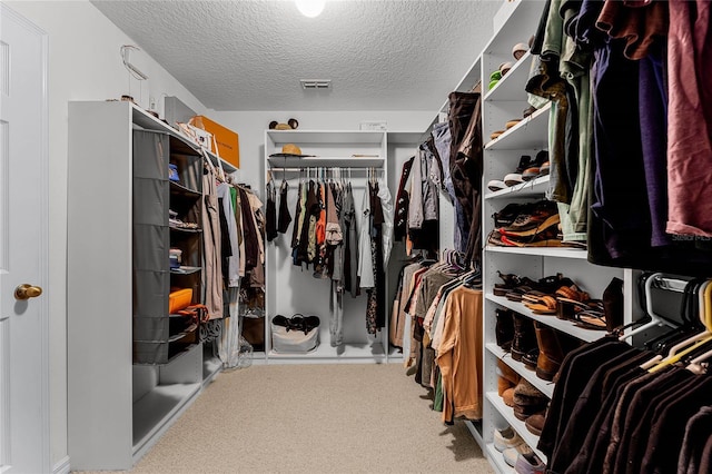 walk in closet featuring carpet floors