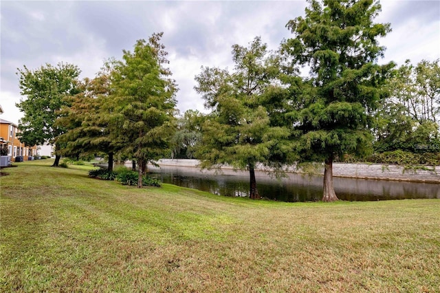 view of yard with a water view