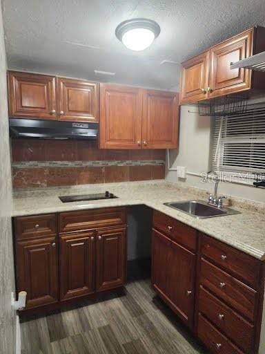 kitchen featuring black electric stovetop, dark hardwood / wood-style flooring, and sink