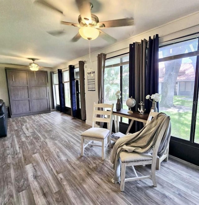 dining area featuring light hardwood / wood-style floors and ceiling fan