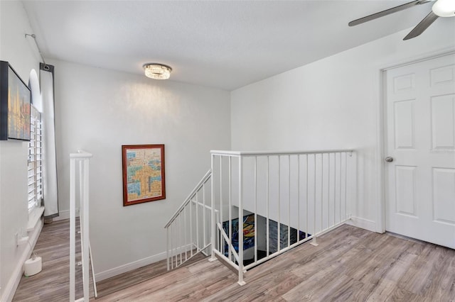 stairs with hardwood / wood-style floors