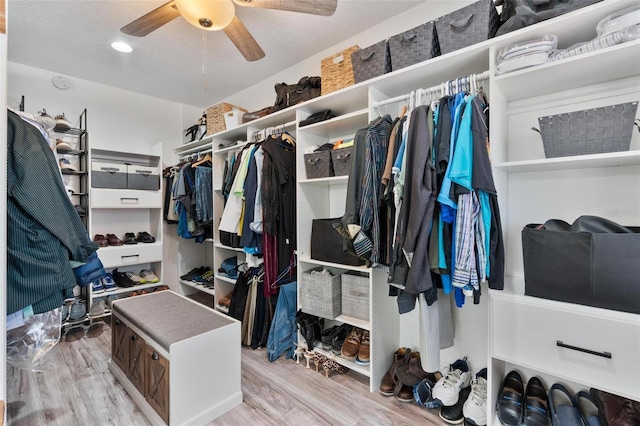 walk in closet with ceiling fan and light hardwood / wood-style flooring