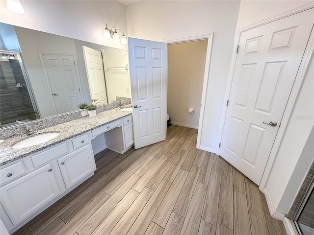 bathroom featuring walk in shower and vanity