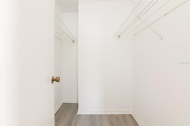 spacious closet featuring light hardwood / wood-style floors