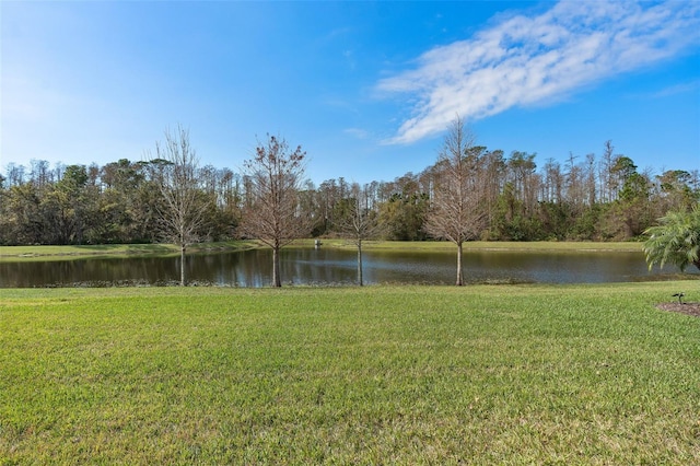 view of yard with a water view