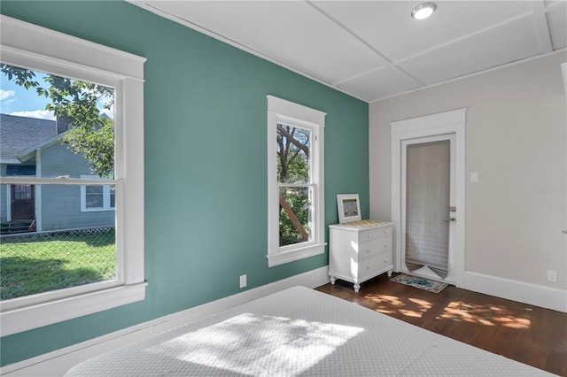 bedroom with dark hardwood / wood-style floors