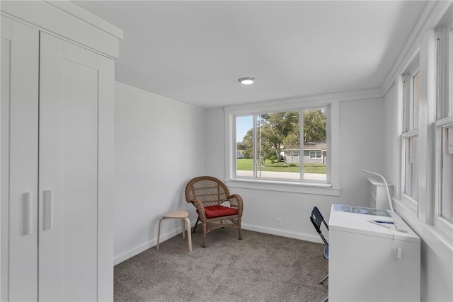 view of carpeted office