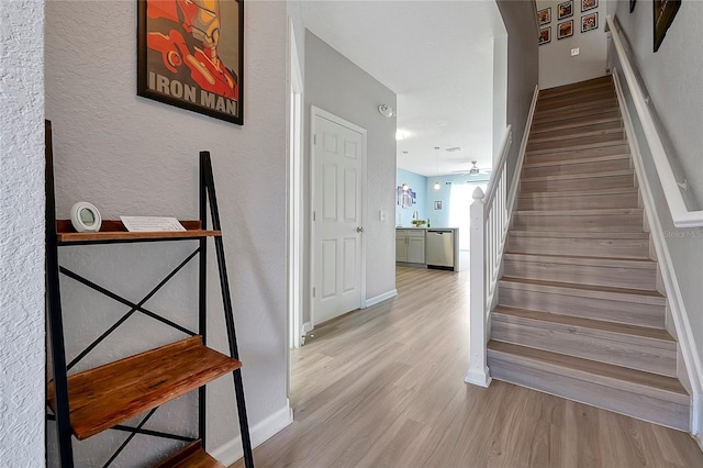 stairs with wood-type flooring and sink