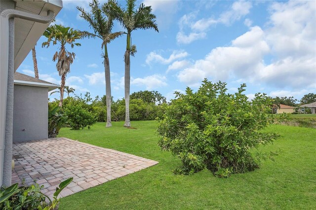 11530 57th Street Cir E, Parrish, FL 34219 - view of grassy yard featuring a patio