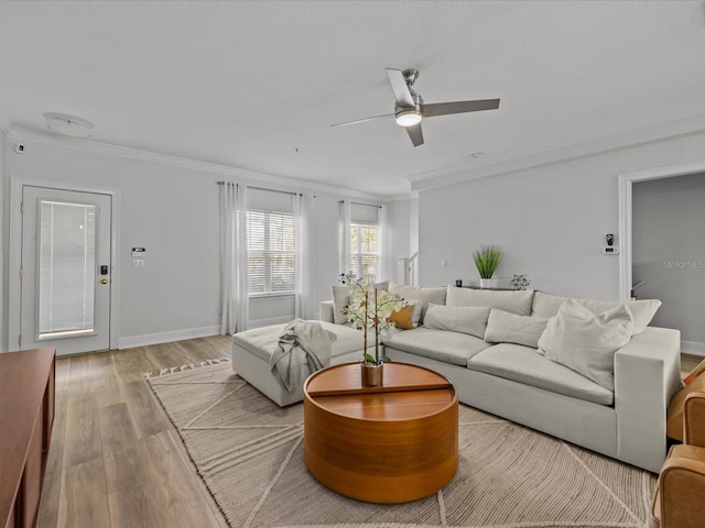 living room with ornamental molding, ceiling fan, and light wood-type flooring