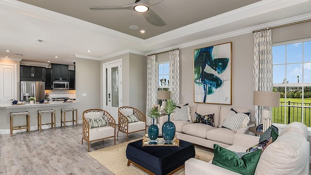 living room featuring a raised ceiling, ornamental molding, a healthy amount of sunlight, and light wood-type flooring