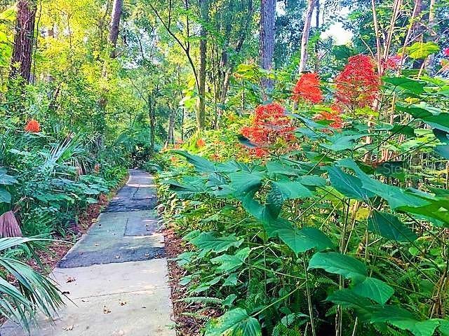 426 Club Dr, Winter Springs, FL 32708 - view of local wilderness