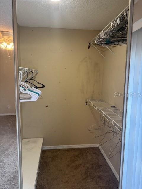 walk in closet with dark carpet