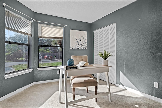 office featuring a textured ceiling and carpet