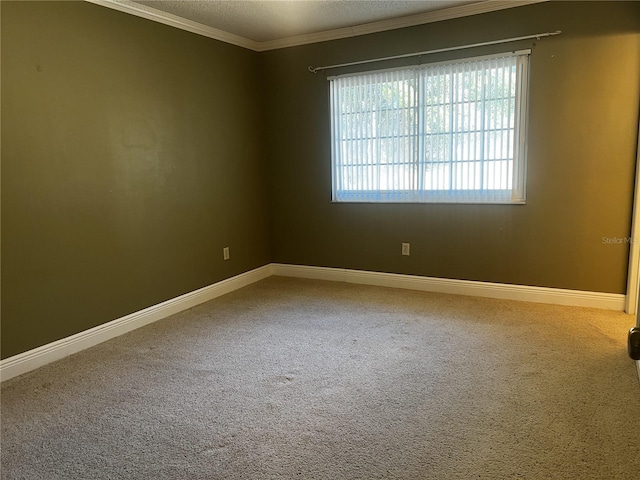 carpeted empty room featuring ornamental molding and a textured ceiling