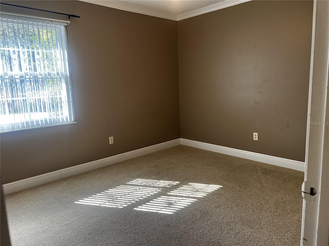 carpeted spare room featuring ornamental molding