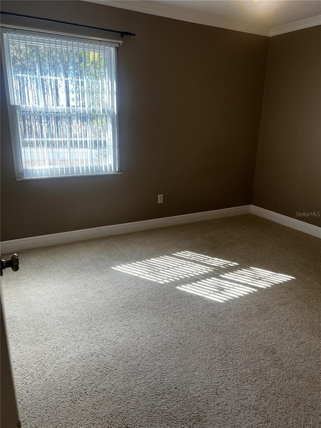 unfurnished room with ornamental molding and carpet