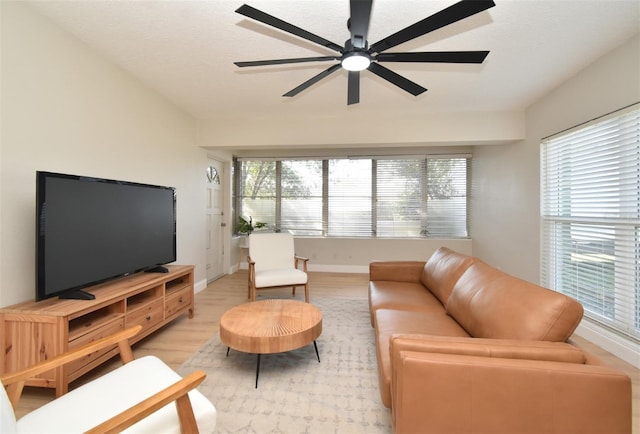 living room with a healthy amount of sunlight, ceiling fan, and light hardwood / wood-style flooring