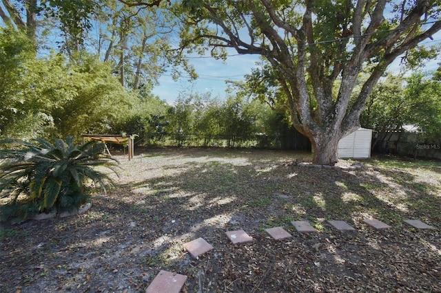 view of yard featuring a storage unit