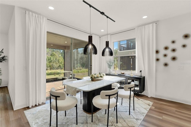 dining space featuring wood-type flooring and a wealth of natural light