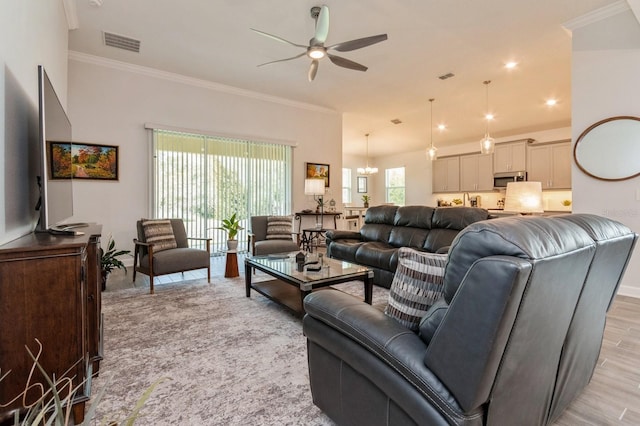 living area featuring ceiling fan with notable chandelier, ornamental molding, light wood-type flooring, and visible vents