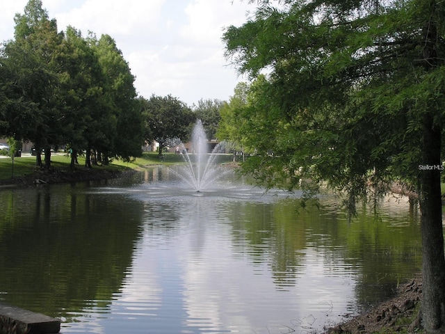 view of water feature