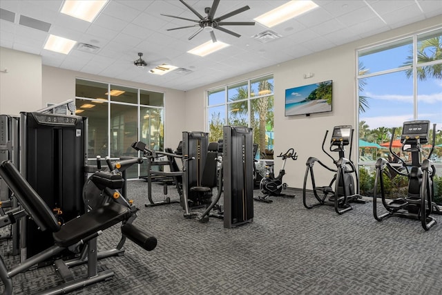 workout area with ceiling fan, a drop ceiling, and a wealth of natural light