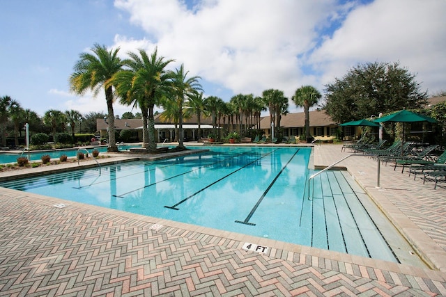 view of swimming pool featuring a patio area