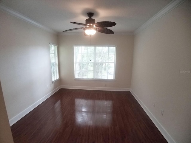 spare room featuring crown molding, dark hardwood / wood-style floors, and a wealth of natural light