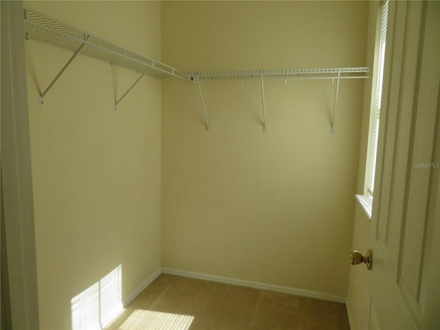 view of spacious closet