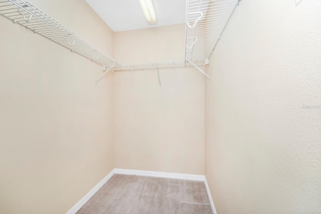 spacious closet with light colored carpet