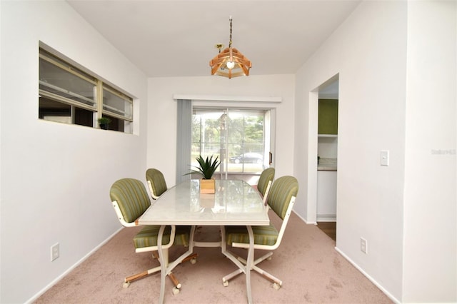 dining room featuring carpet flooring