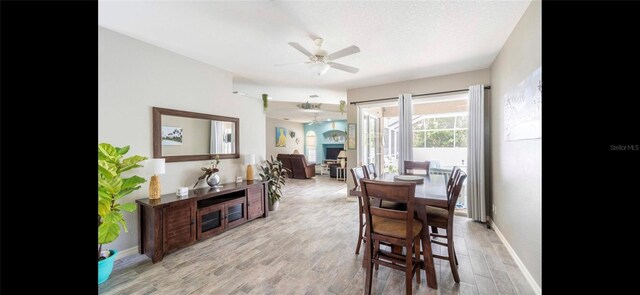 dining area with ceiling fan and light hardwood / wood-style flooring