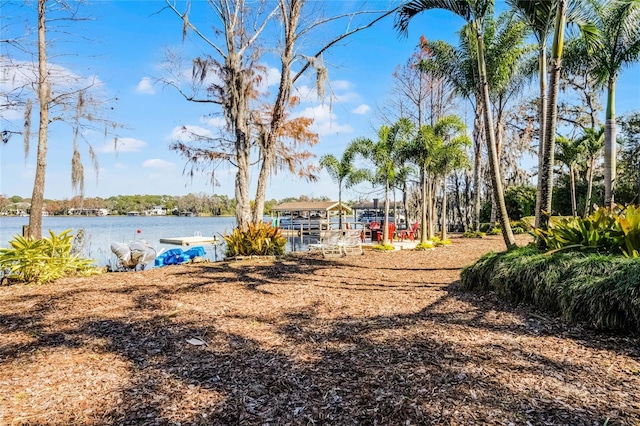 view of yard featuring a water view