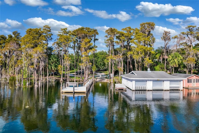 dock area with a water view