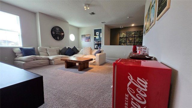 living room featuring carpet and a textured ceiling