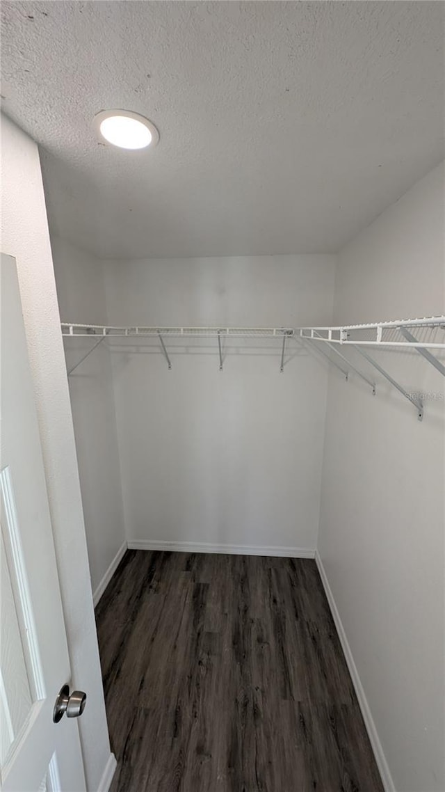 spacious closet with dark hardwood / wood-style floors